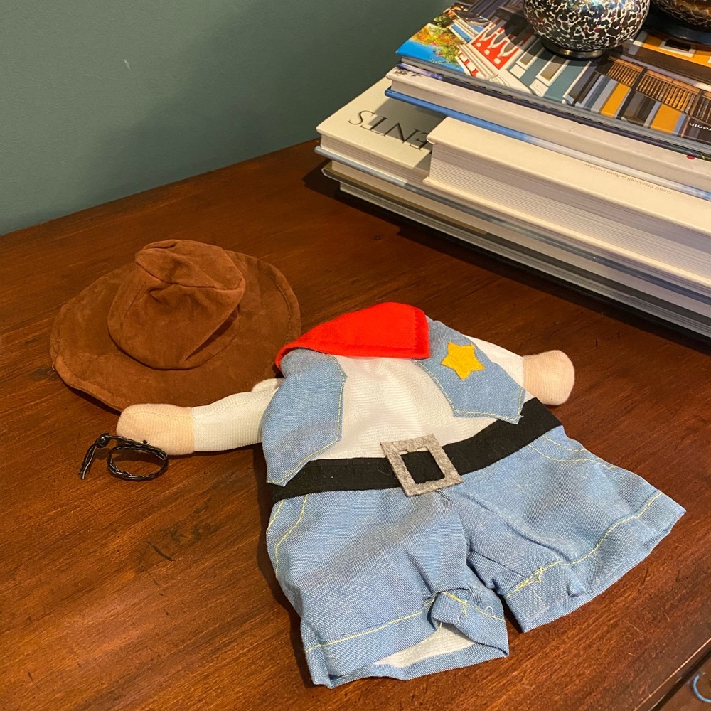 Cowboy cat/small dog costume New